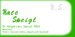 mate speigl business card