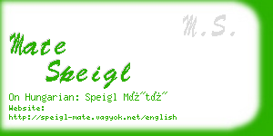 mate speigl business card